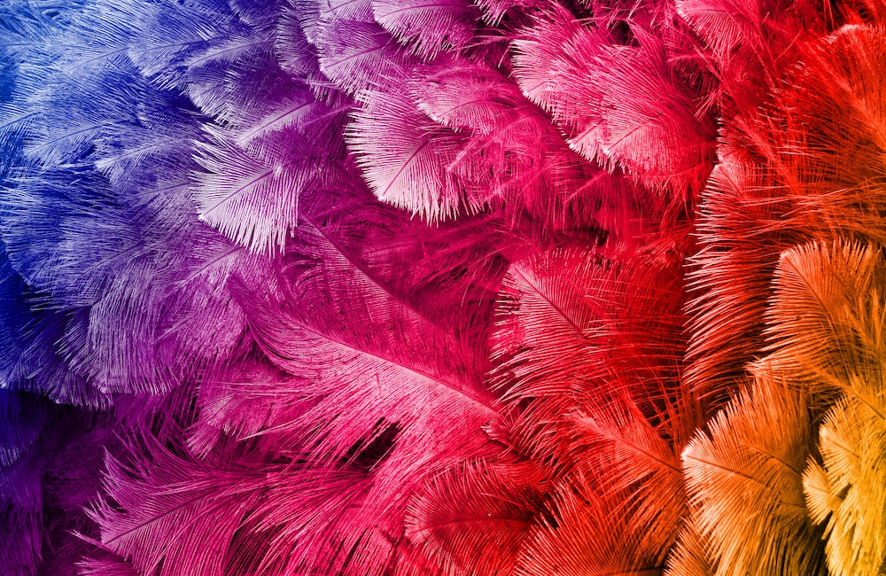 Finding the Best Feathers for Millinery