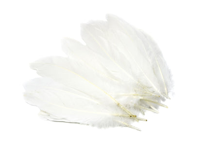 Goose Nagoire Feathers 6" - 8", Hand Counted - Humboldt Haberdashery