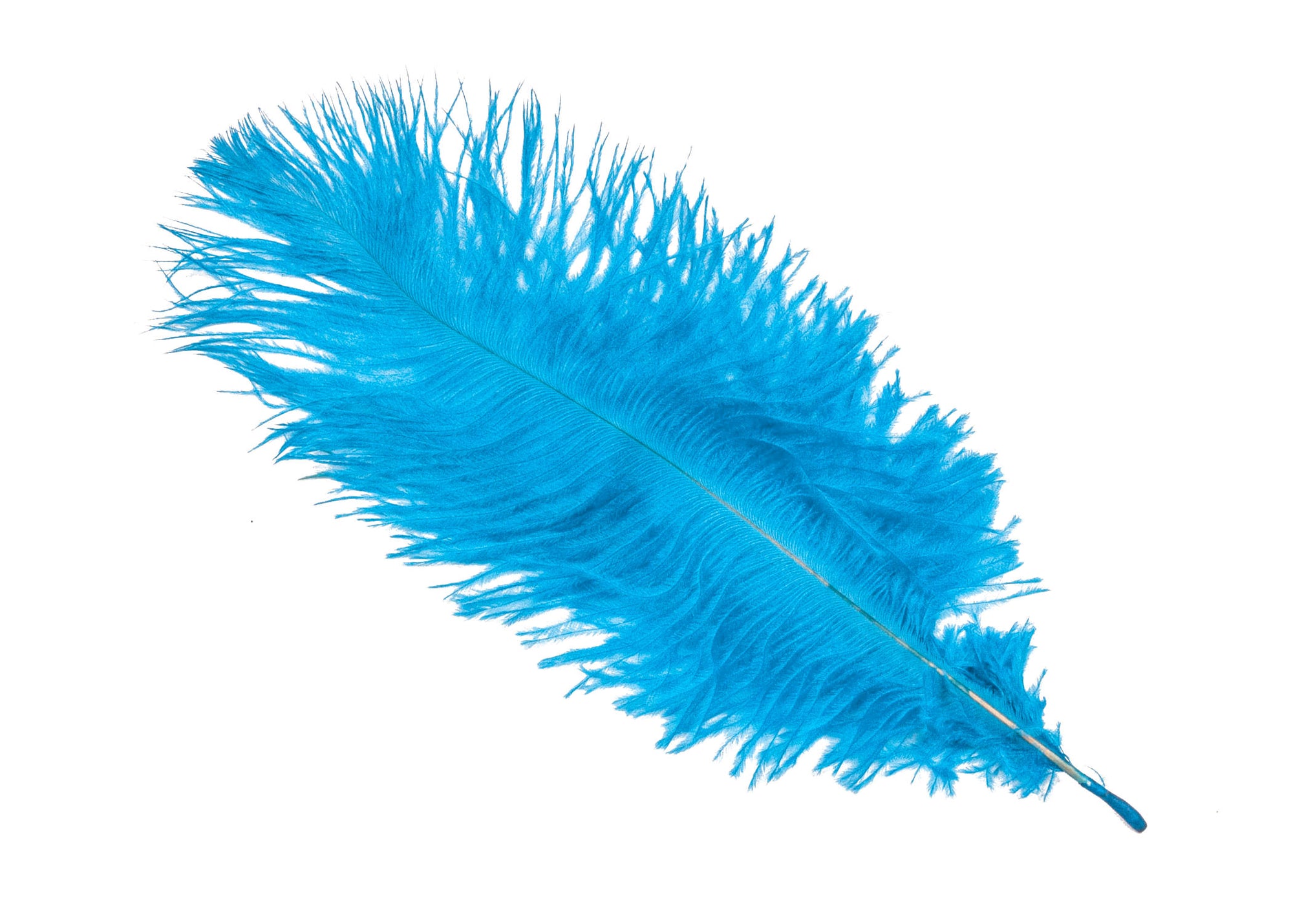 Ostrich Feather Plumes 12" Long - Sold by the Piece