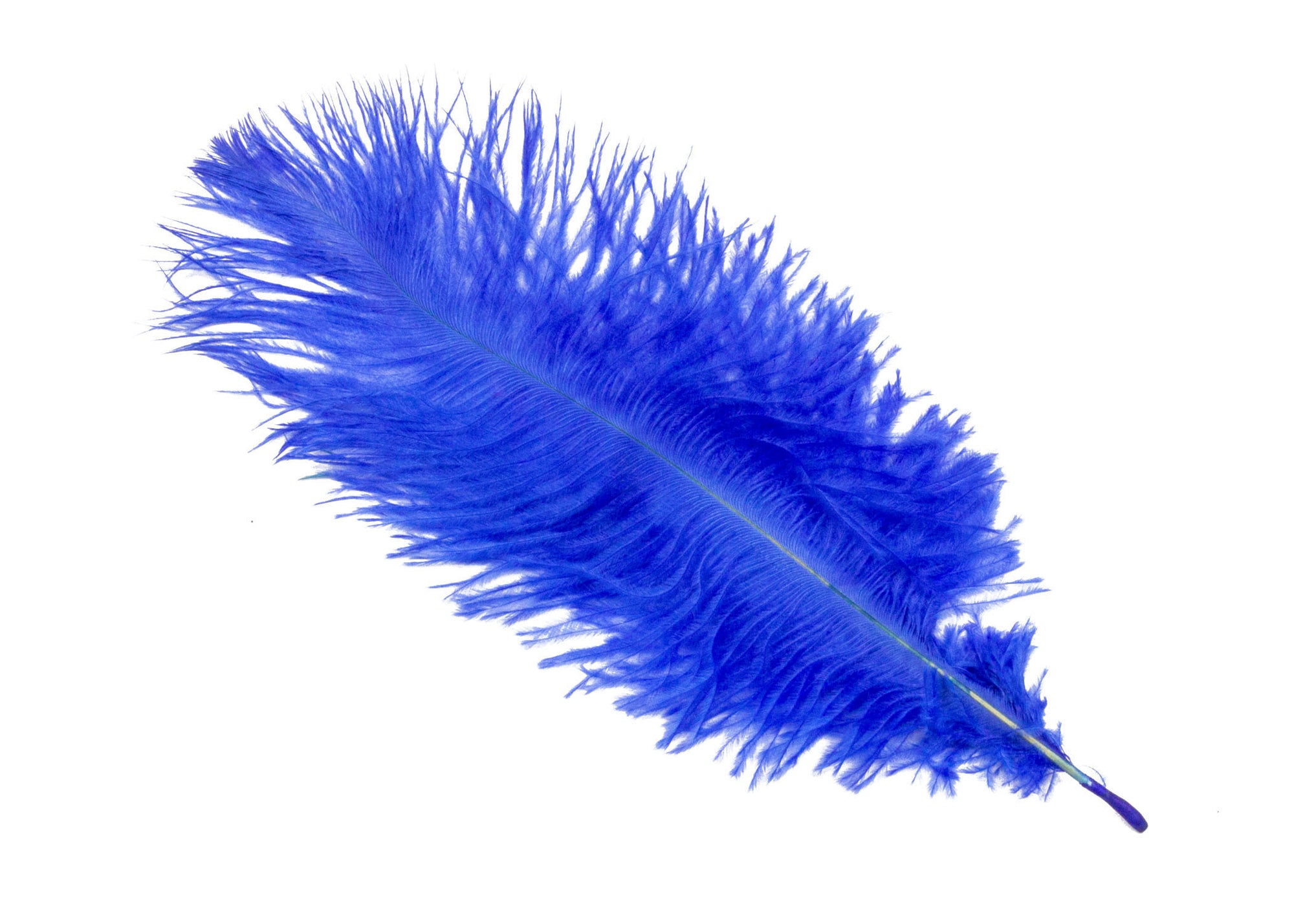 14-Pack Ostrich Feathers, Artificial Feather Plumes for Arts and Crafts,  Faux Bird Plumage Trim for Costume and Outfit Decorations, 12-14-Inch  Quills