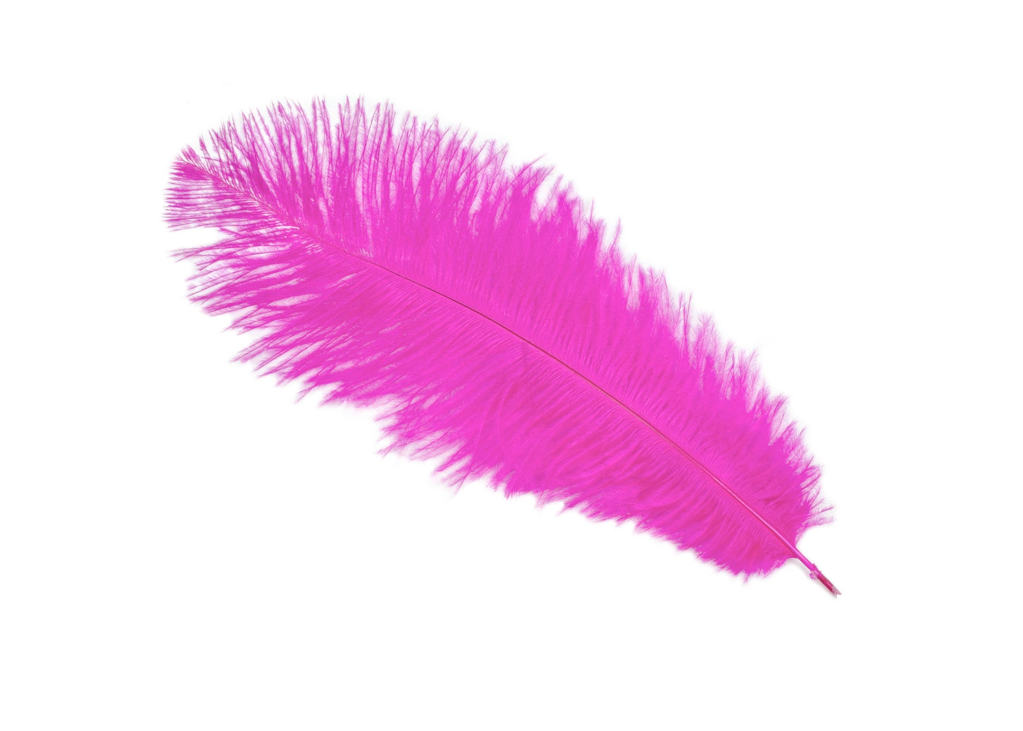Large Ostrich Feathers - 20-25 Prime Femina Plumes - Burgundy