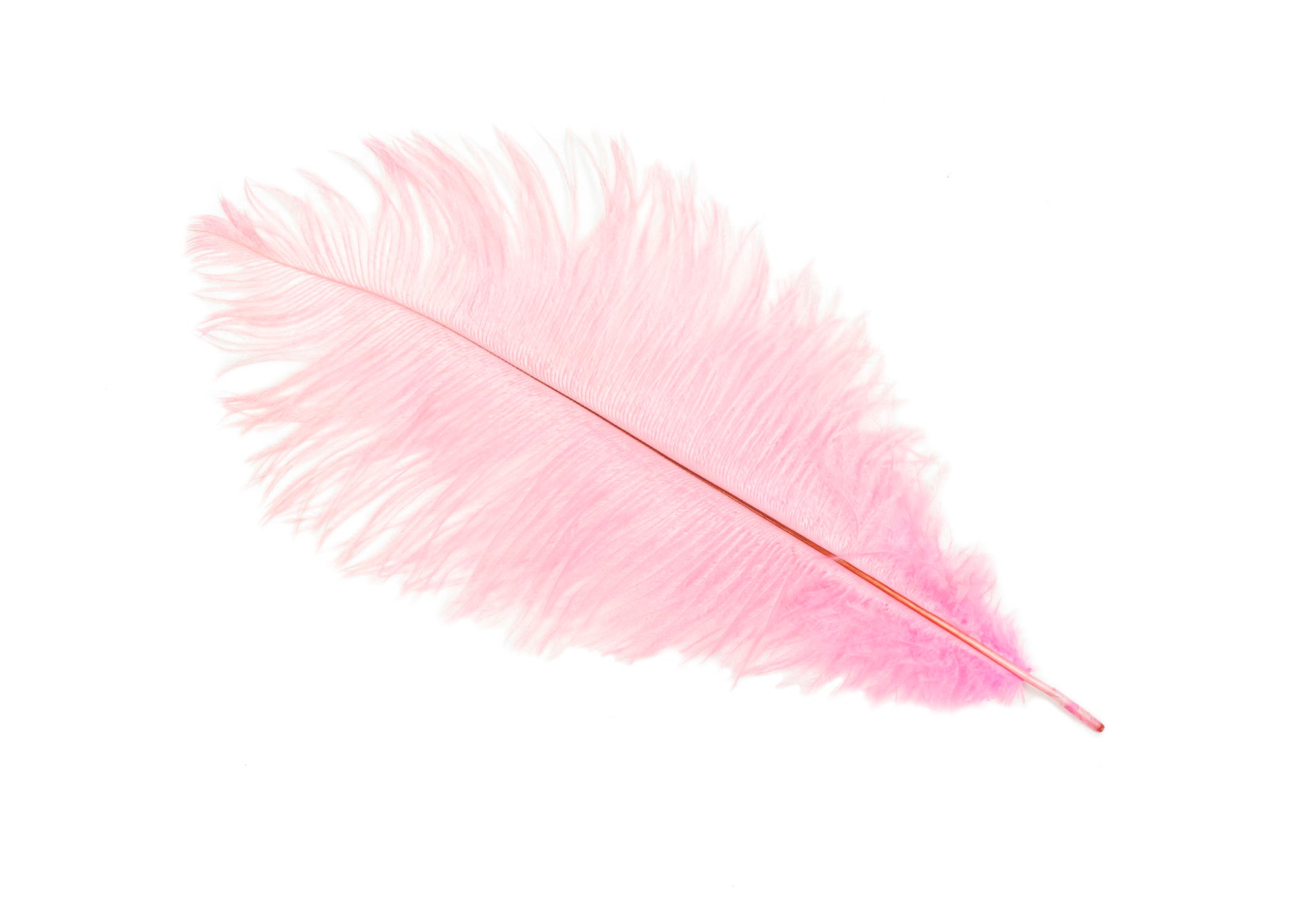 Ostrich Feather Plumes 12 Long - Sold by the Piece - Humboldt