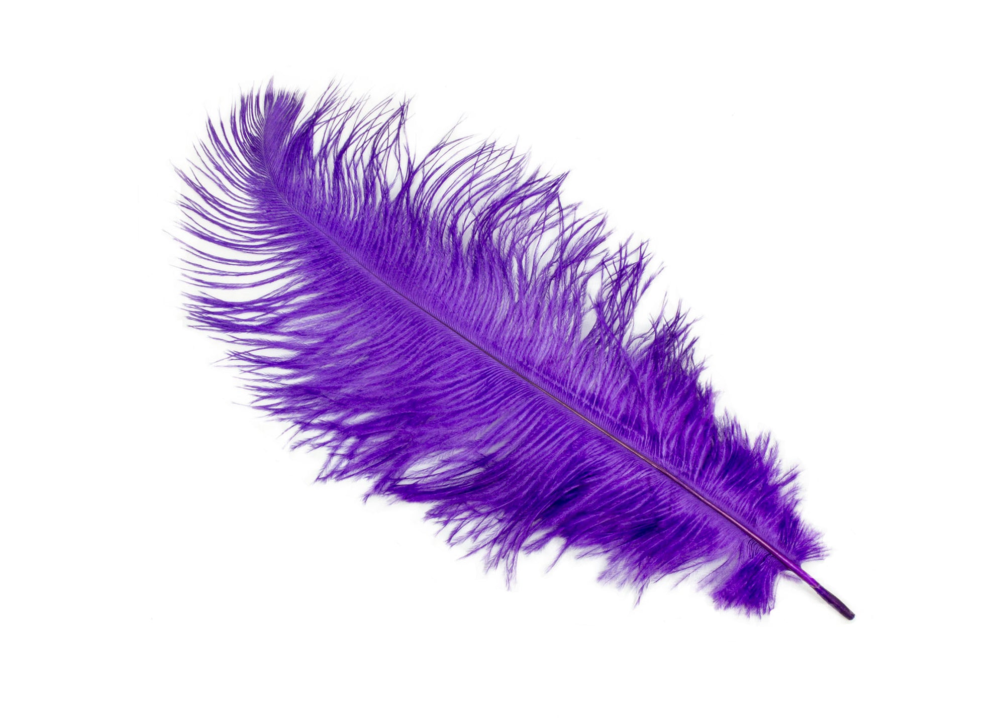 Ostrich Feather Plumes 12" Long - Sold by the Piece