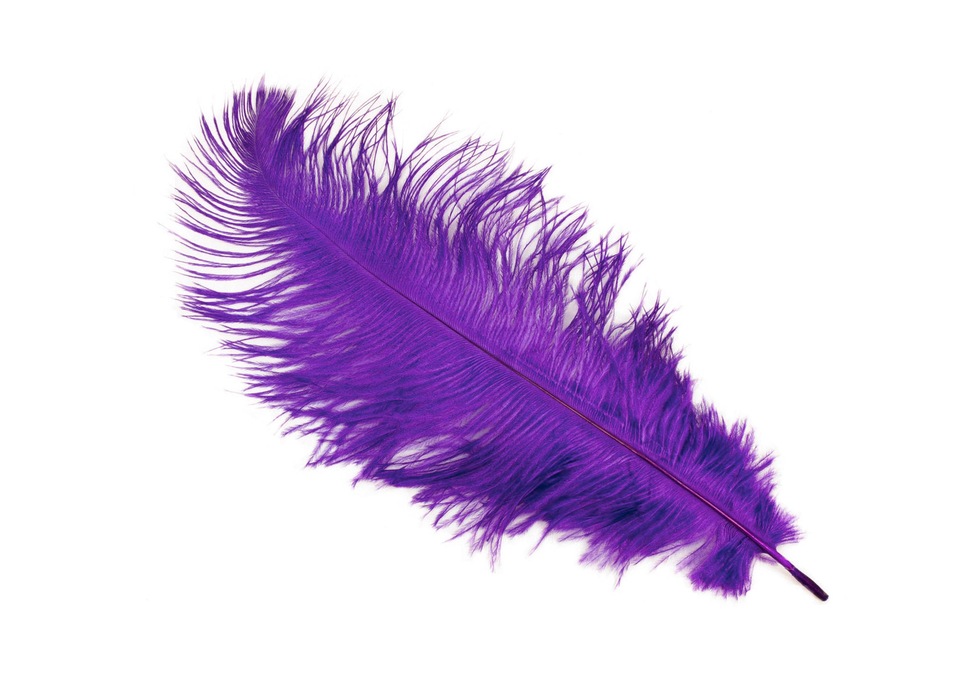 Ostrich Feather Plumes Drabs 6" - 8" Long Pick Your Quantity