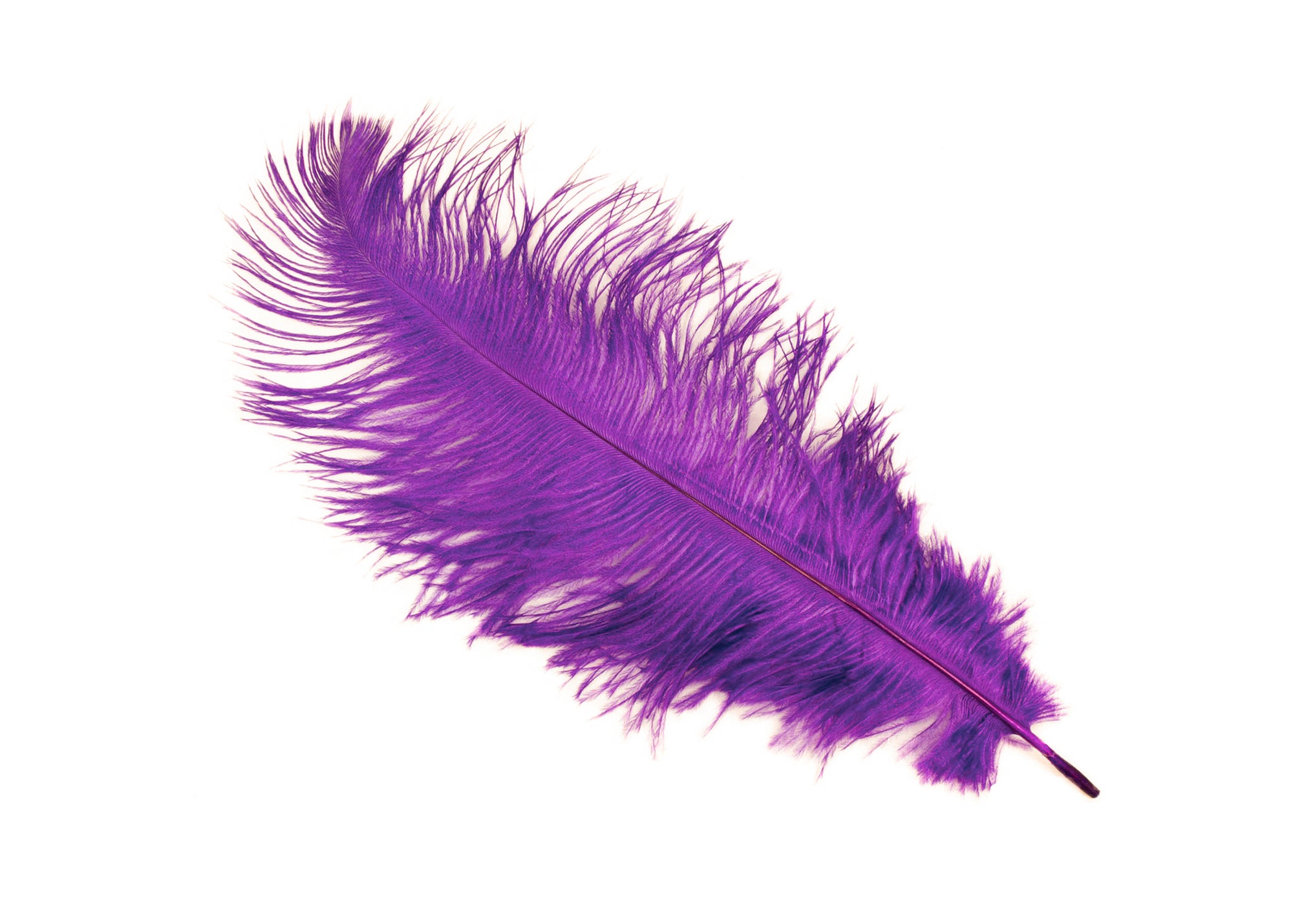 Light Pink Ostrich Feather 16-20 inch Long per Each